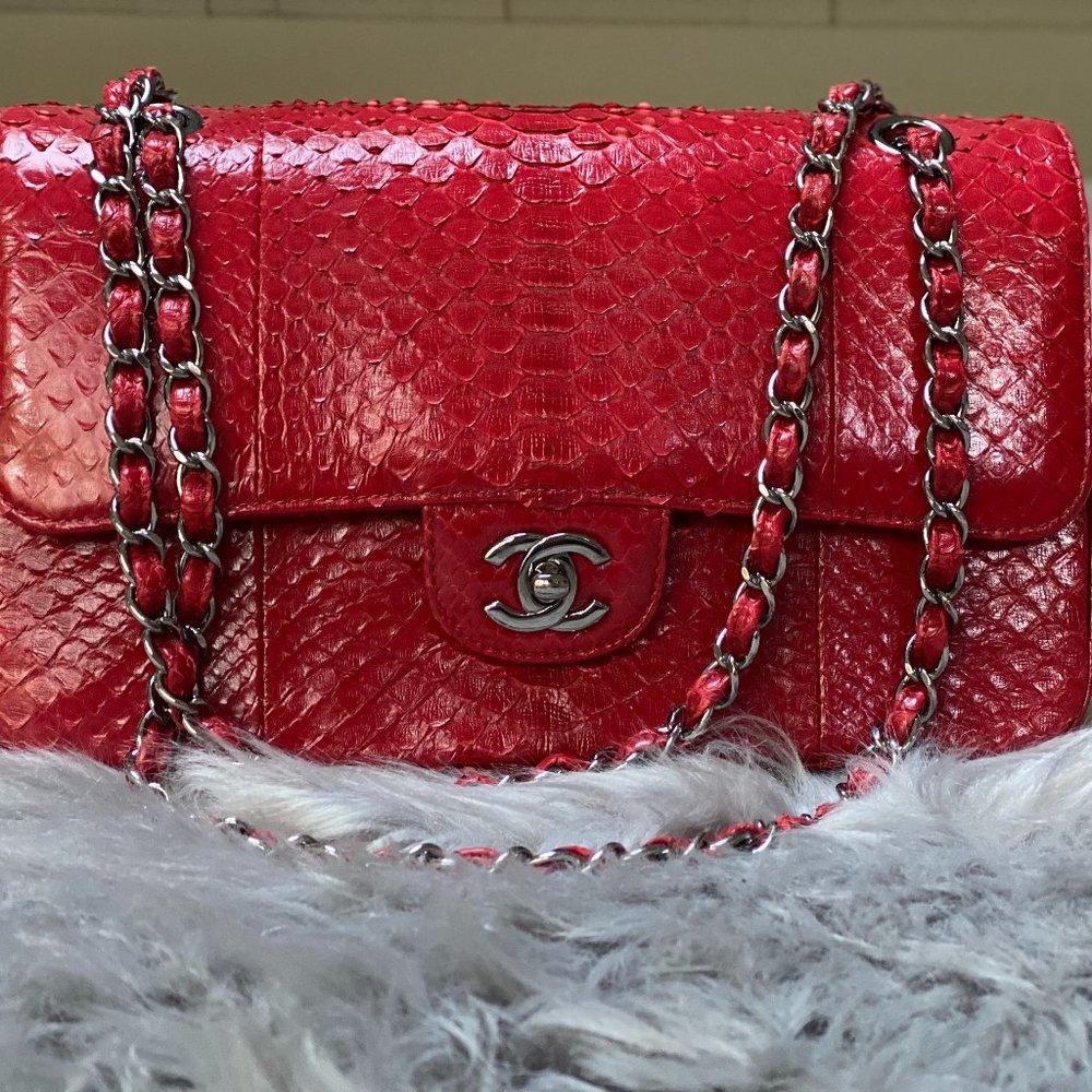 Chanel Small Red Python Flap Bag, Silver Hardware - image 1